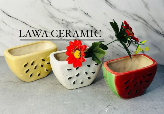 MiniMelon Cute Indoor Ceramic Planter