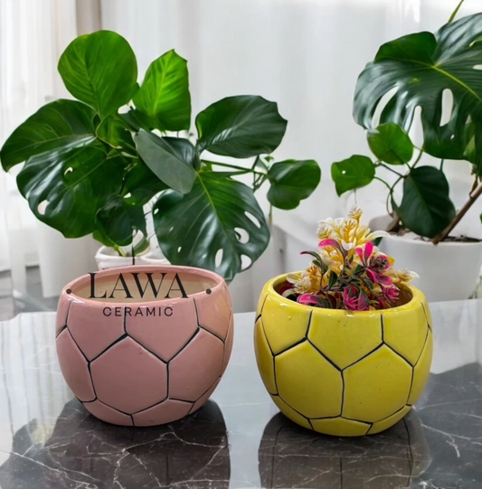 Rustic Goal Ceramic Planter – Where Nature Scores