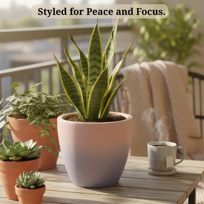 Soil & Soul: The Terracotta Ritual Planter