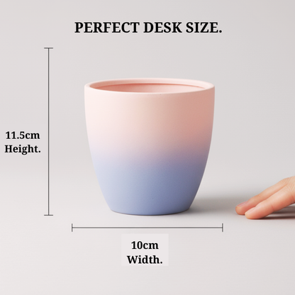 Soil & Soul: The Terracotta Ritual Planter