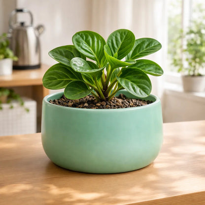 Metal Ember Handi-Shaped Metal Planter