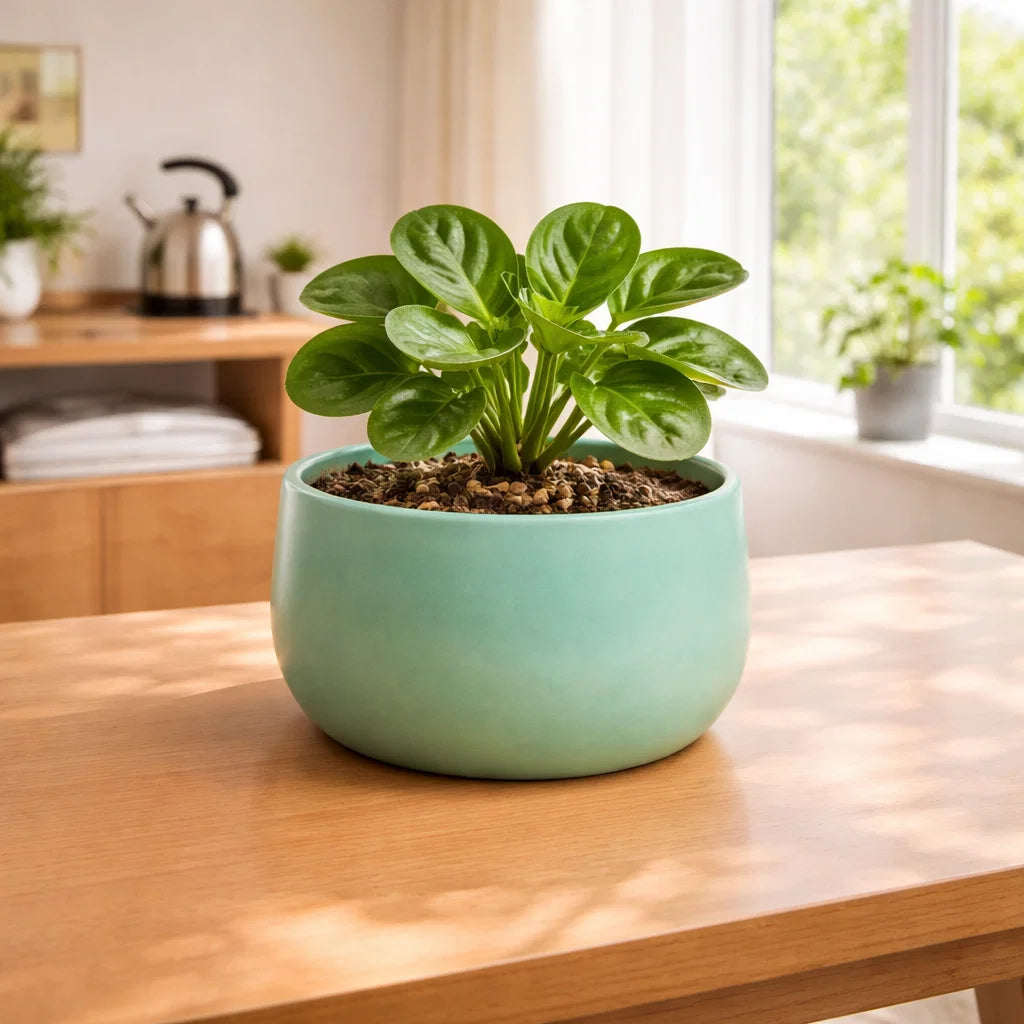 Metal Ember Handi-Shaped Metal Planter