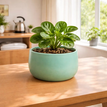 Metal Ember Handi-Shaped Metal Planter