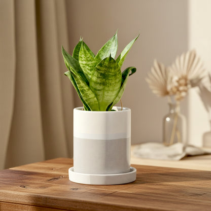 The Soft Ritual White Round Ceramic Planter With Plate
