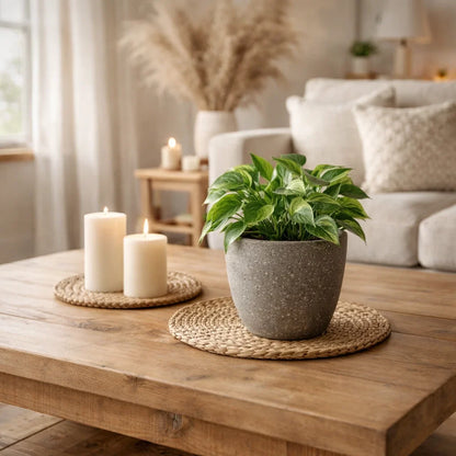 Roma Vein Marble Round Indoor Planter - Set Of 3