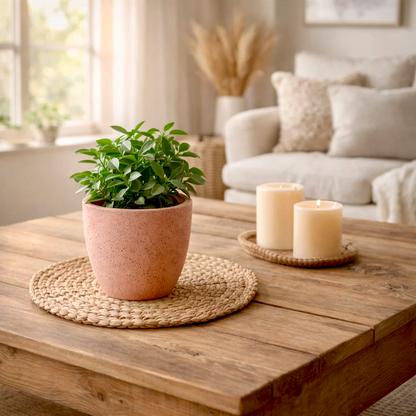 Roma Vein Marble Round Indoor Planter - Set Of 3
