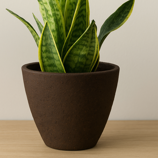 Clay & Calm Terracotta Planter